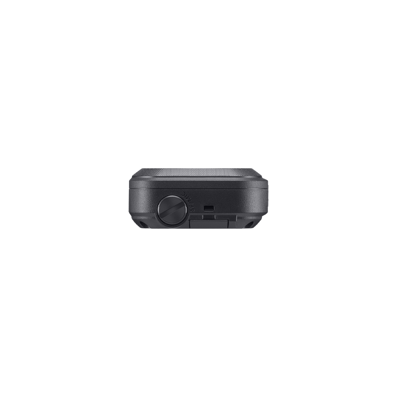 ICOM IP110H