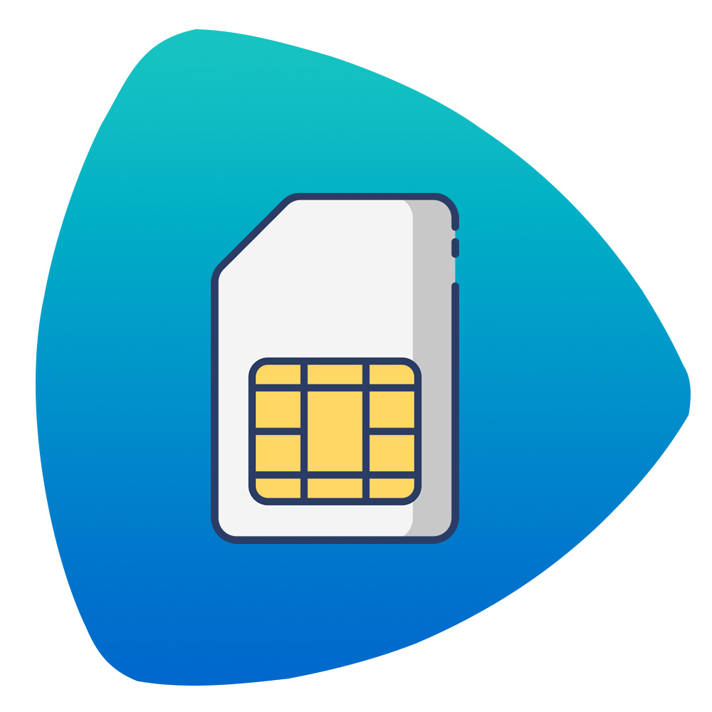 ICOM SIM1-V ICOM SIM1-V